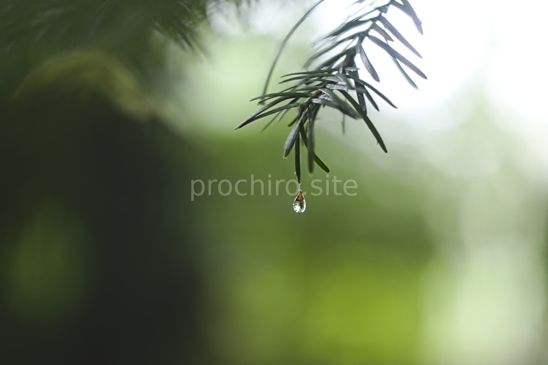 Wellness Moment 3