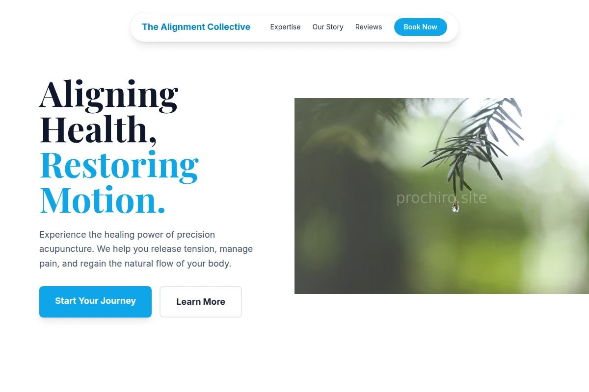 Hub Acupuncture